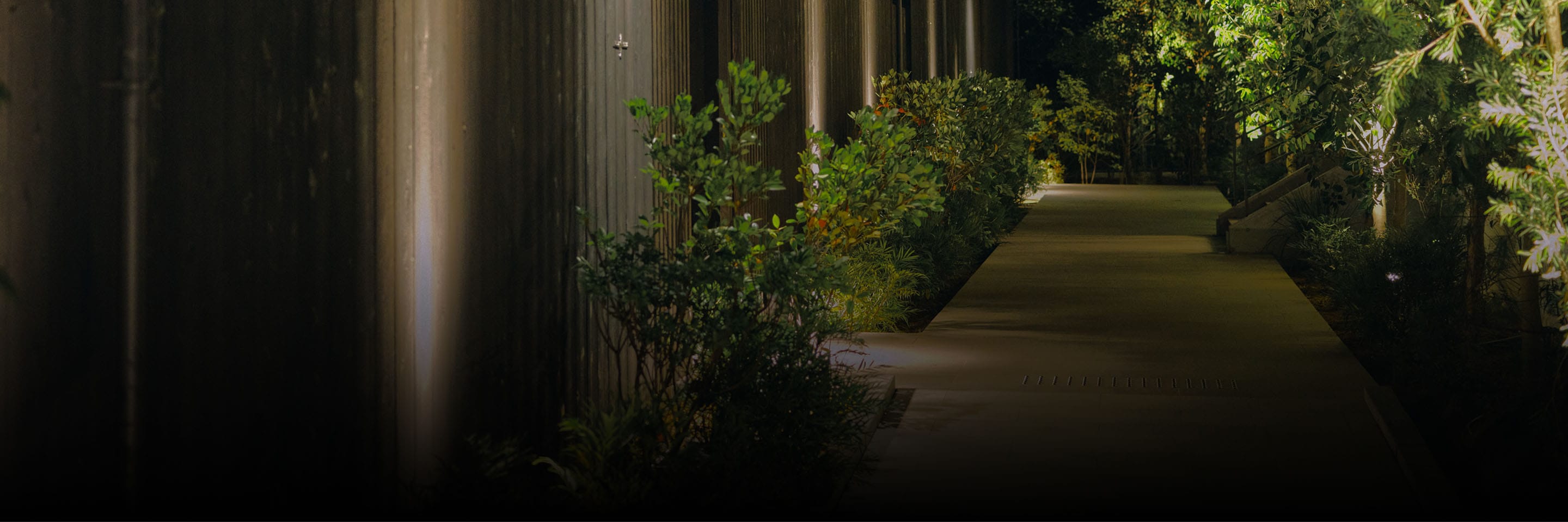 ACCESS - アクセス